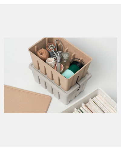 Midori PS Post Card & Tool Box In Pulp